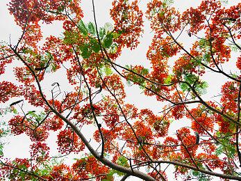 索尼确定会推出更多的PC游戏 因为真的很赚钱