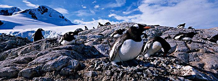 休闲模拟经营游戏《请喝咖啡》现已抢先体验推出 获得好评